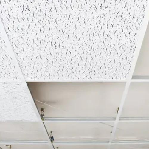 plâtrier en deux sevres 79